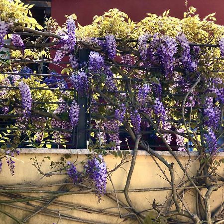 Hotel La Casa Del Glicine Tarzo Zewnętrze zdjęcie
